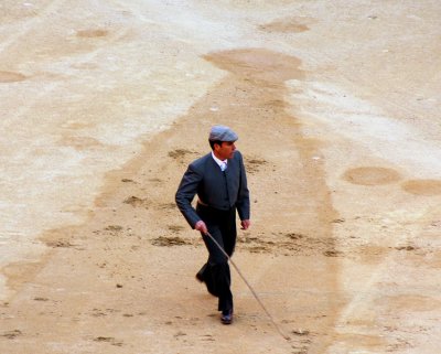 Florito, el Mayoral de la Plaza