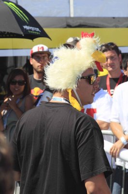 rossi fan?