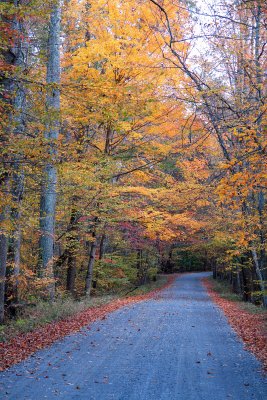 Rapp River Oct 2010D.jpg