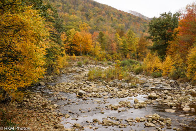 Road to Dolly Sods WV  2  2012-1.JPG