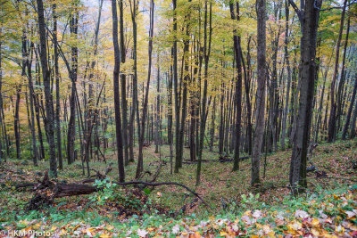 Canaan Loop Road WV Oct 2012-1.JPG