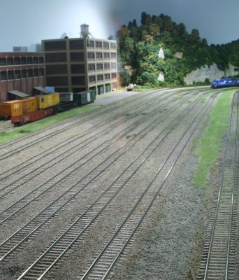Overall view of grass efforts at Hammill Yard