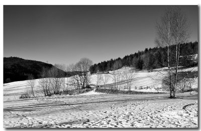 Jura sous la neige