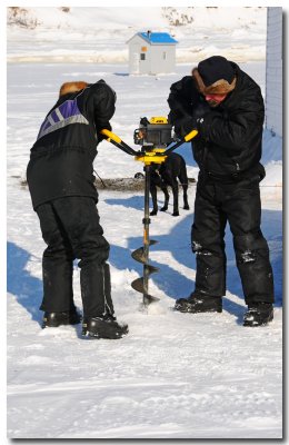 Pche blanche sur le Saguenay gel: Forage