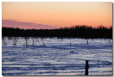 Neige glace