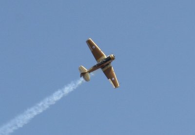 IMG_4455.JPG
