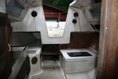 IMG_5317.JPG