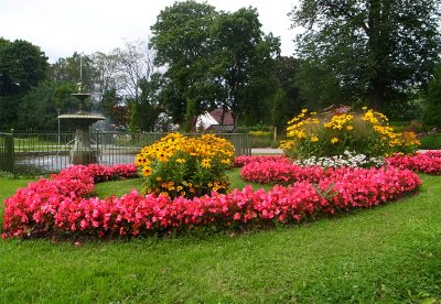 Blommor
