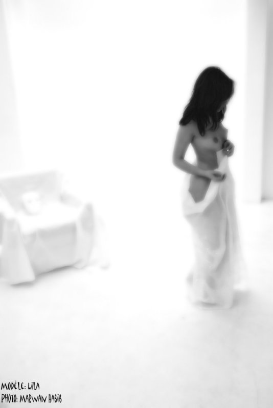 White veil / Voile blanc