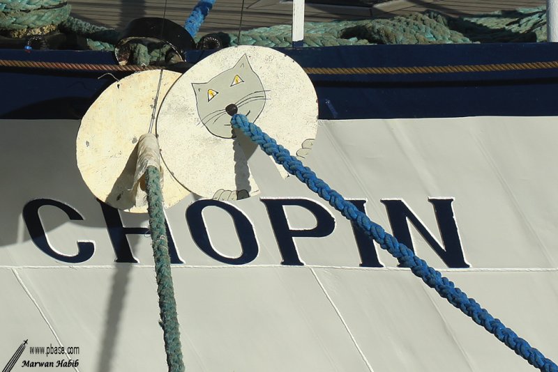 20-08-2010 : Cat on a ship / Chat sur un navire