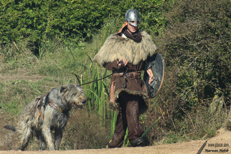 Le Puy du Fou - Vikings