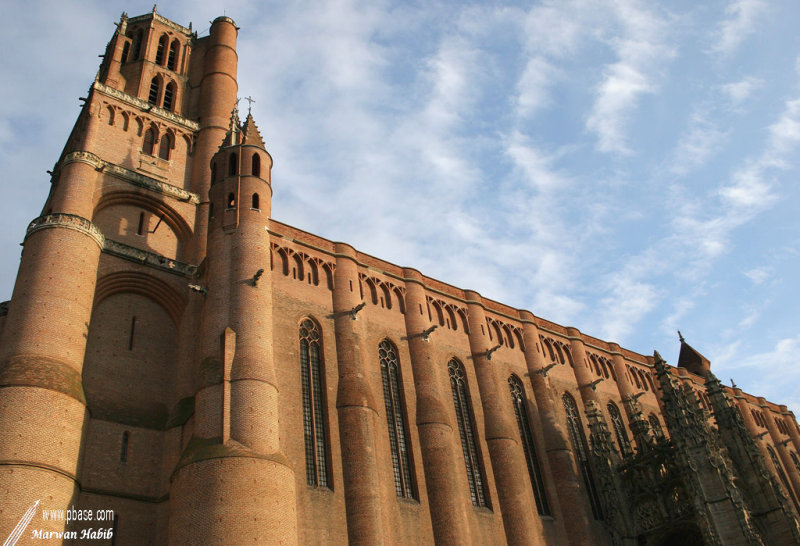 Albi - Cathdrale Sainte Ccile