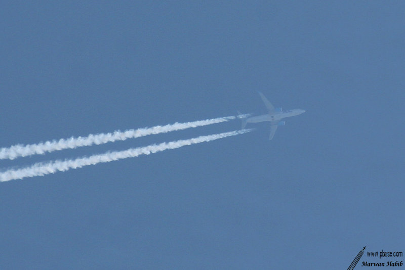 Boeing 737-800 XL.com