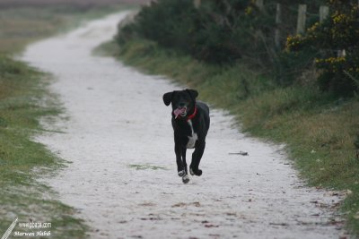 Nemo - And faster... / Encore plus vite...