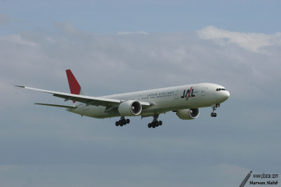 Boeing 777-300ER JAL - Japan Airlines
