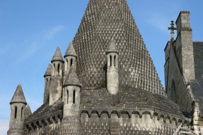 Abbaye Royale de Fontevraud - Cheminées