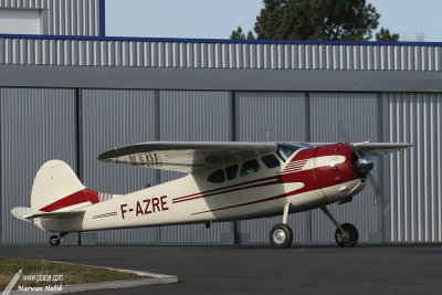 Cessna 195 