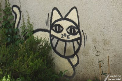 30-05-2010 : Funny cat in the garden / Drle de chat dans le jardin