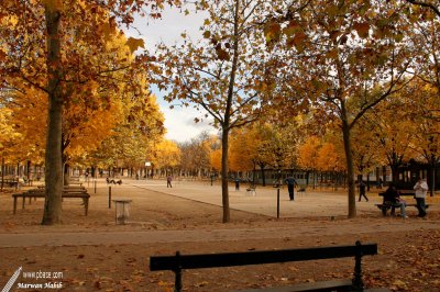 Paris - Jardin du Luxembourg