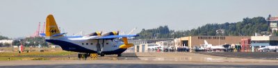 Albatross at Boeing Field