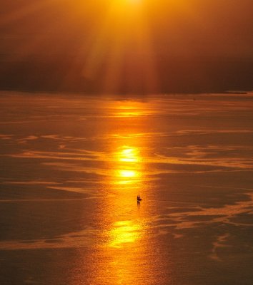 lone sailboat