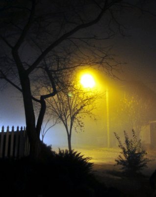foggy night in west seattle