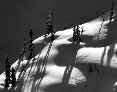 guarding the slope