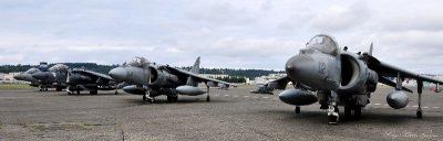 flight of four Harriers