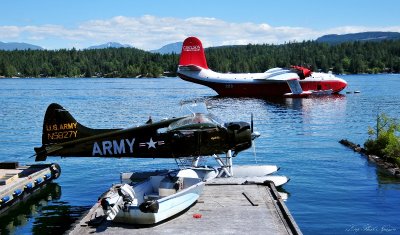 Beaver and Flying Boat