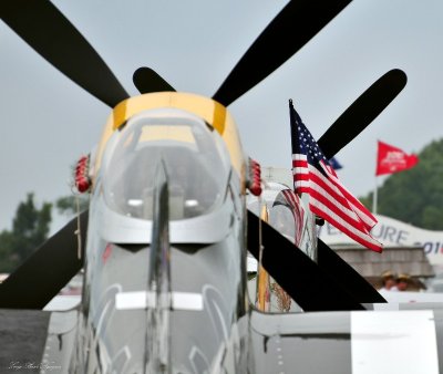 P-51 and US Flag