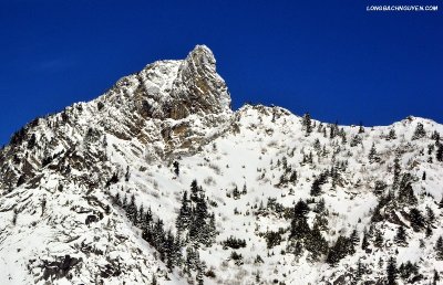 Lion of Greider Peak