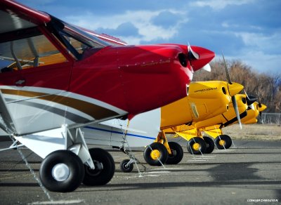 Sport Cub S2