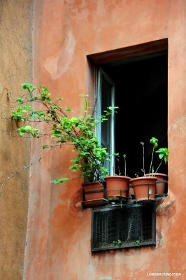 little garden in Rome