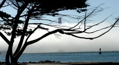 shrouded Golden Gate