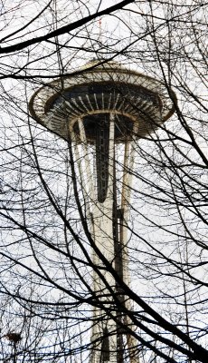 Needle through branches