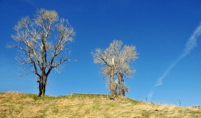 big sky