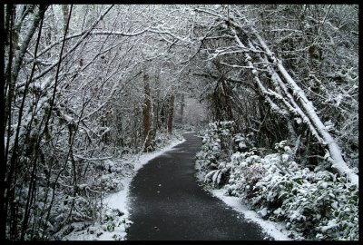 oregon_snow