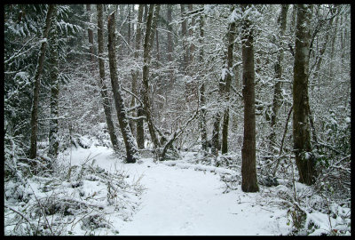 oregon_snow