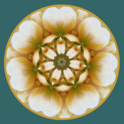 Kaleidoscopes from Dahlia Photo