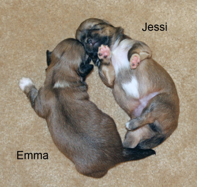 Emma & Jessi 2 wk