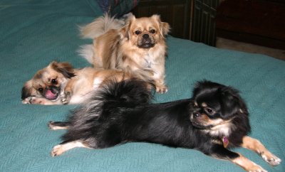 Lily, Tory, Lexy