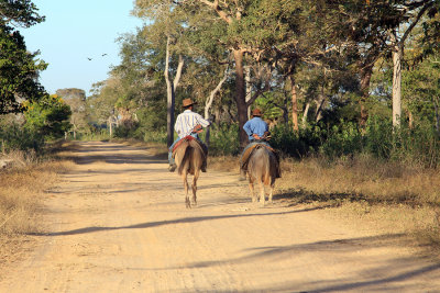 Pantanal