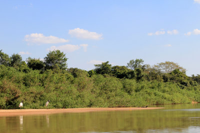 Pantanal