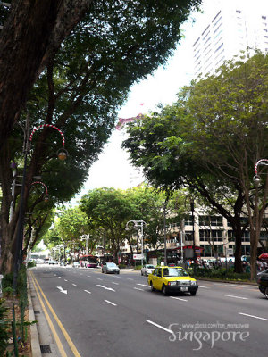 Orchard rd.