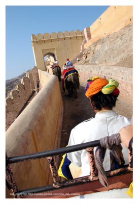 climb up to Amber fort