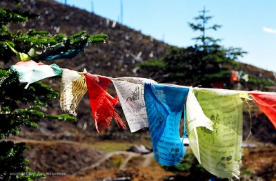 Colourful prayer flag