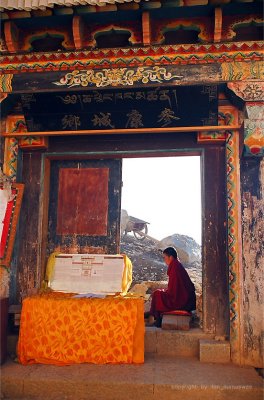 Lama