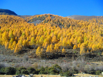 Xiengchen