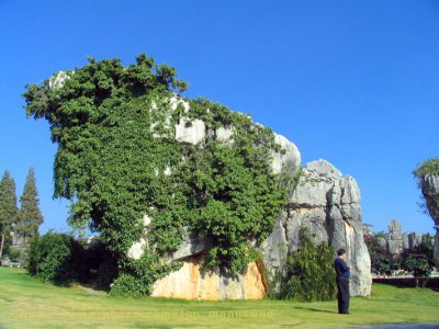 Shilin; Stone forest