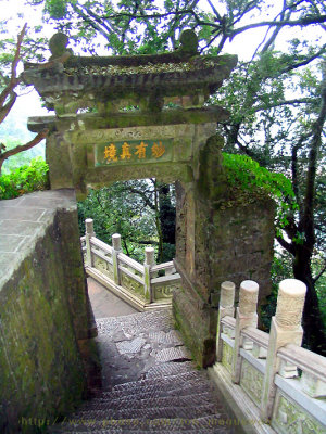 Western dragon hill